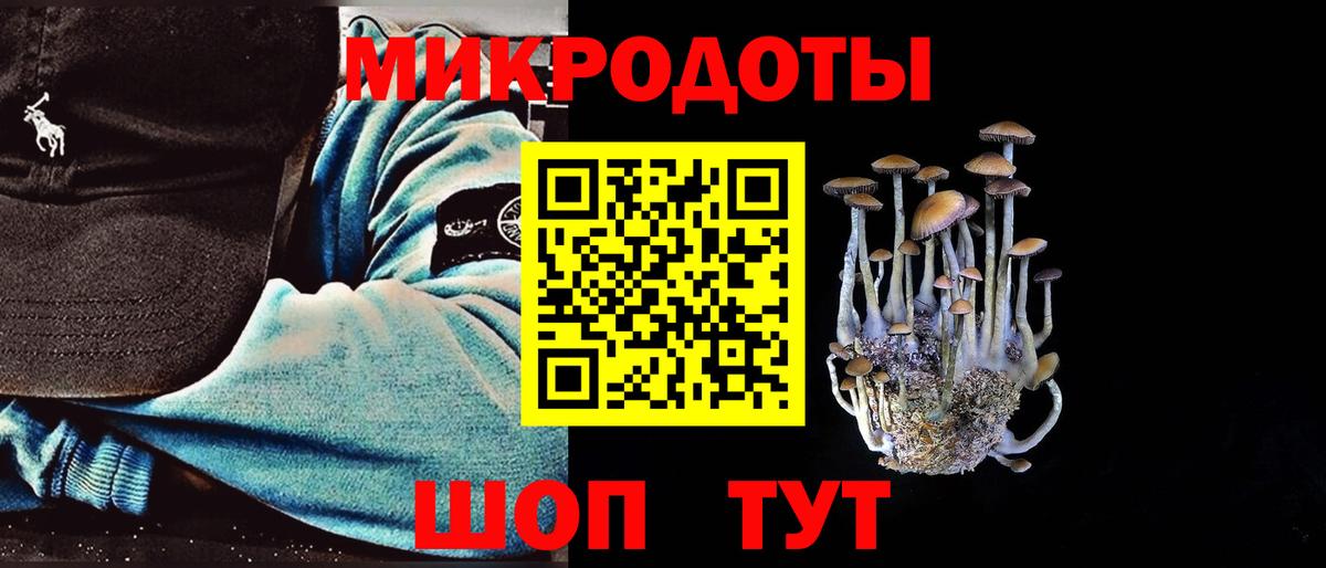 даркнет сайт  Псилоцибиновые грибы ЛСД  Вход с VPN  Горно-Алтайск 